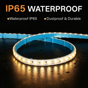 High Voltage 220V 2835 LED Strip Light 240LEDs/m 16W/m IP65 Plug & Play
