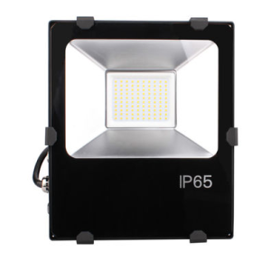 30W LED Flood Light IP66