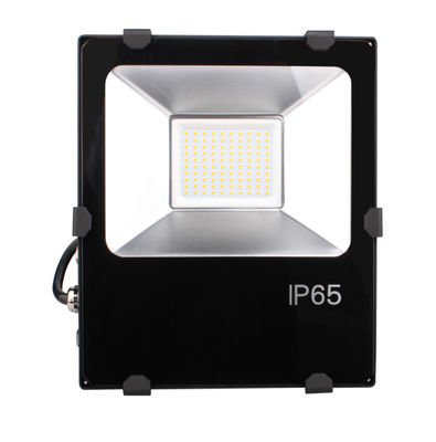 30W LED Flood Light IP66